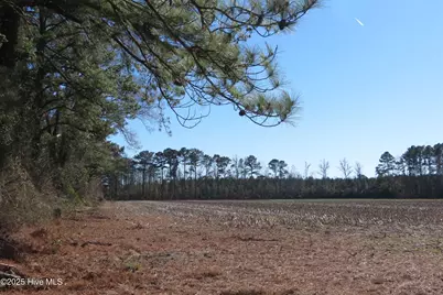 0 Neals Creek Road, Bayboro, NC 28515 - Photo 27