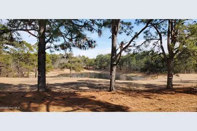 234 Persimmon Drive #Apt C, Pinebluff, NC 28373 - Photo 21