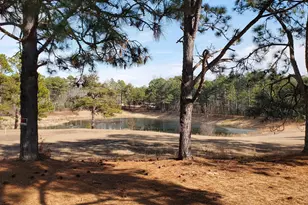 234 Persimmon Dr, Pinebluff, NC 28373 - Photo 21