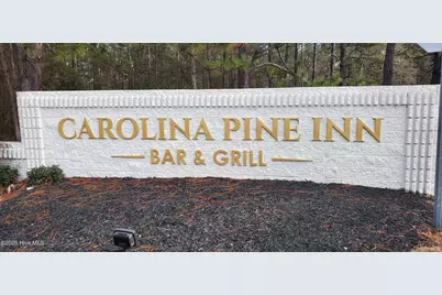 234 Persimmon Drive #Apt C, Pinebluff, NC 28373 - Photo 19