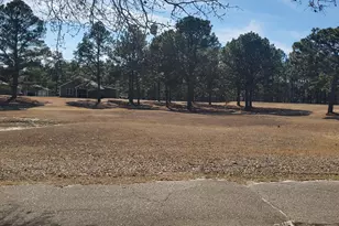 234 Persimmon Dr, Pinebluff, NC 28373 - Photo 19