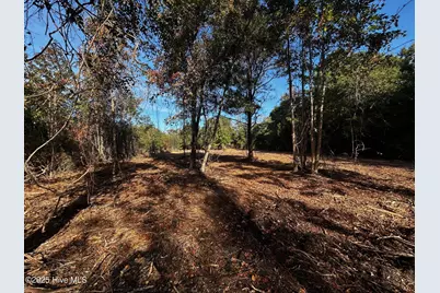 110 Brandon Avenue, Hubert, NC 28539 - Photo 5