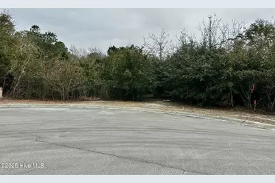 110 Brandon Avenue, Hubert, NC 28539 - Photo 9