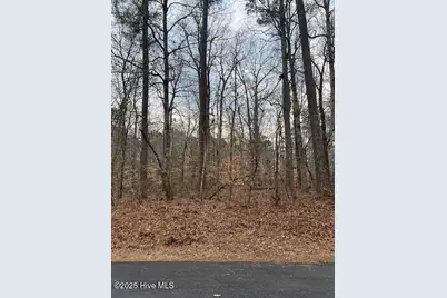 00 Dogwood Dr., Hertford, NC 27944 - Photo 1