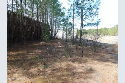 10781 Gibson Road, Laurel Hill, NC 28351 - Photo 47