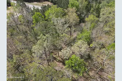 Lot 12 River Bluff Drive, Winton, NC 27986 - Photo 5