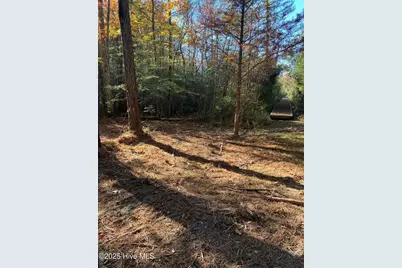 220 Colleton Court, Edenton, NC 27932 - Photo 1