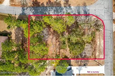 809 Crane Drive, New Bern, NC 28560 - Photo 3
