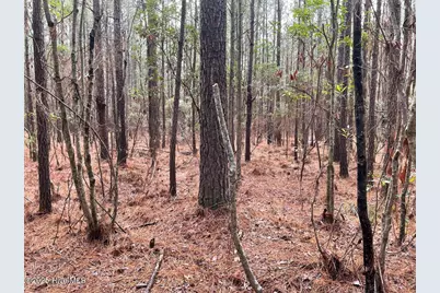 Lot 7 Sandy Point Road, Sladesville, NC 27875 - Photo 51