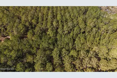 Lot 7 Sandy Point Road, Sladesville, NC 27875 - Photo 7