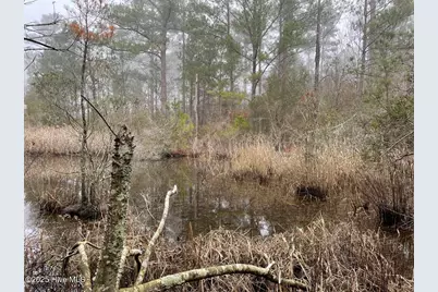 Lot 7 Sandy Point Road, Sladesville, NC 27875 - Photo 37