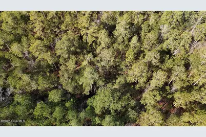 Lot 7 Sandy Point Road, Sladesville, NC 27875 - Photo 9