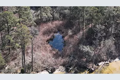 Lot 7 Sandy Point Road, Sladesville, NC 27875 - Photo 15