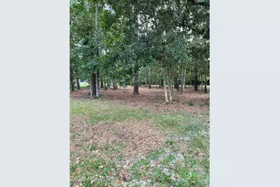 41 Oyster Pointe Drive, Sunset Beach, NC 28468 - Photo 3