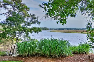 466 Herring Gull Ct SE, Bolivia, NC 28422 - Photo 69