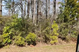 660 Gervais St SE, Bolivia, NC 28422 - Photo 1