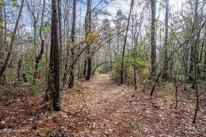 20 West High Bluff Drive, Hampstead, NC 28443 - Photo 3