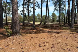 591 Eastwood Park Rd Lot 33, Sunset Beach, NC 28468 - Photo 1