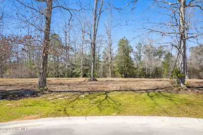 637 Squirrel Run Drive SW, Supply, NC 28462 - Photo 3