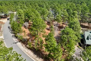 103 Chesterfield Dr, Pinehurst, NC 28374 - Photo 15