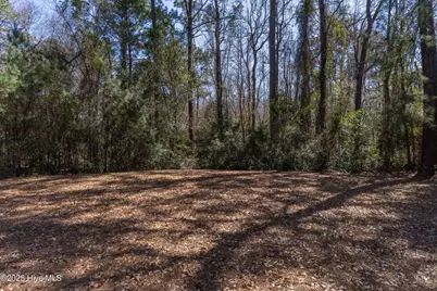 3549 Beaver Creek Drive SE, Southport, NC 28461 - Photo 15