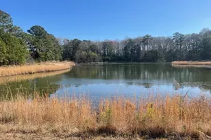 5635 McKendree Church Rd, Tarboro, NC 27886 - Photo 27