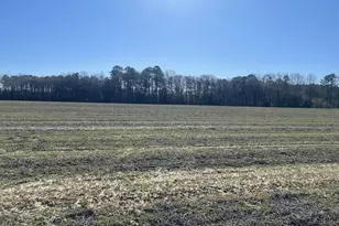 5635 McKendree Church Rd, Tarboro, NC 27886 - Photo 21
