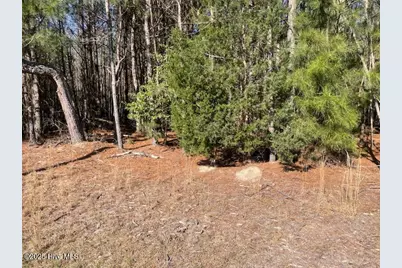 5635 McKendree Church Road, Tarboro, NC 27886 - Photo 25