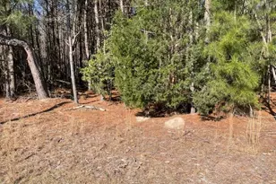 5635 McKendree Church Rd, Tarboro, NC 27886 - Photo 25