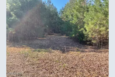 5635 McKendree Church Road, Tarboro, NC 27886 - Photo 29