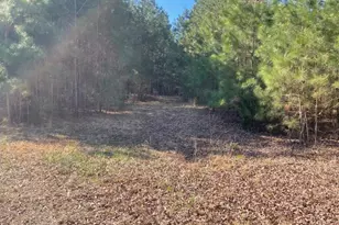 5635 McKendree Church Rd, Tarboro, NC 27886 - Photo 29