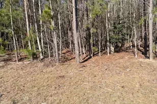 5635 McKendree Church Rd, Tarboro, NC 27886 - Photo 23