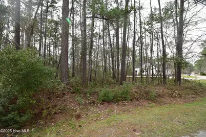 916 Bee Tree Court, New Bern, NC 28560 - Photo 3