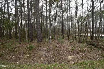 916 Bee Tree Court, New Bern, NC 28560 - Photo 1