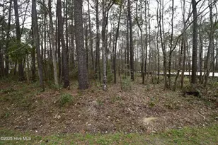 916 Bee Tree Ct, New Bern, NC 28560 - Photo 1