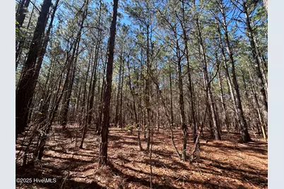 Tbd John Owen Road, White Oak, NC 28399 - Photo 5