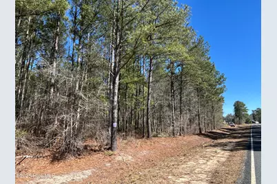 Tbd John Owen Road, White Oak, NC 28399 - Photo 1