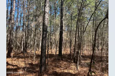 Tbd John Owen Road, White Oak, NC 28399 - Photo 3