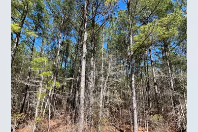 Tbd John Owen Road, White Oak, NC 28399 - Photo 7