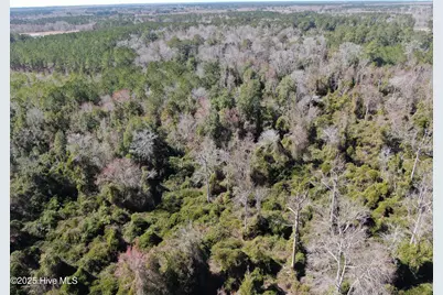 Tbd John Owen Road, White Oak, NC 28399 - Photo 15