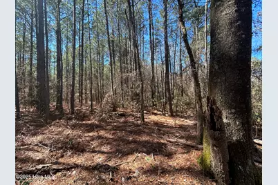 Tbd John Owen Road, White Oak, NC 28399 - Photo 19