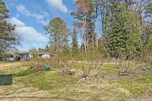 329 W Jones St, Trenton, NC 28585 - Photo 17