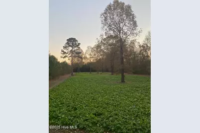 0 River Road, White Oak, NC 28399 - Photo 17