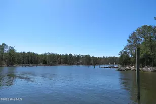 486 Point of View Drive, Merritt, NC 28556 - Photo 89