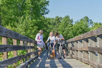 2915 W Timber Crest Drive NE, Leland, NC 28451 - Photo 15