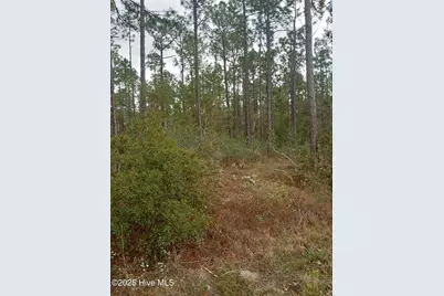 Lot 61 W South Shore Drive, Southport, NC 28461 - Photo 3