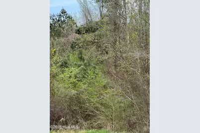 2338 Old Cherry Road, Creswell, NC 27928 - Photo 5
