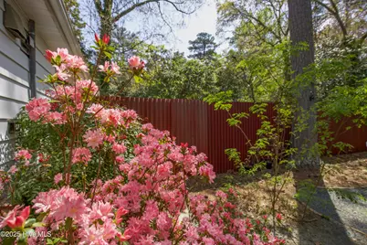 264 E Indiana Avenue, Southern Pines, NC 28387 - Photo 47
