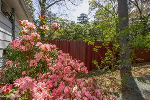 264 E Indiana Ave, Southern Pines, NC 28387 - Photo 47