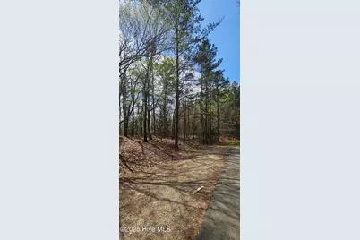 Lot 4 Leaman Road, Robbins, NC 27325 - Photo 5